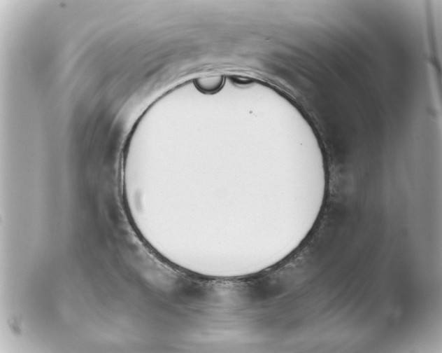 X0000103941520200810031310