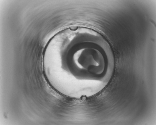 X0000103941522200810031310