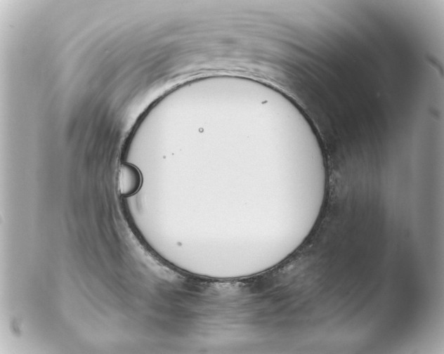 X0000103941523200810031310