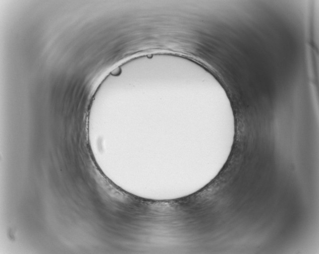 X0000103941524200810031310