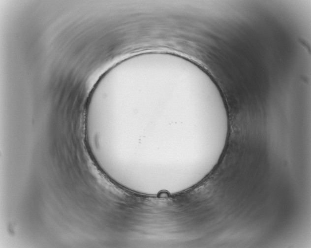 X0000103941526200810031310