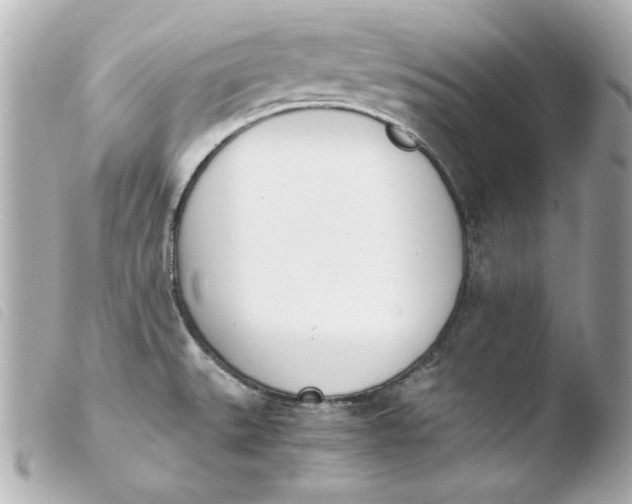 X0000103941527200810031310