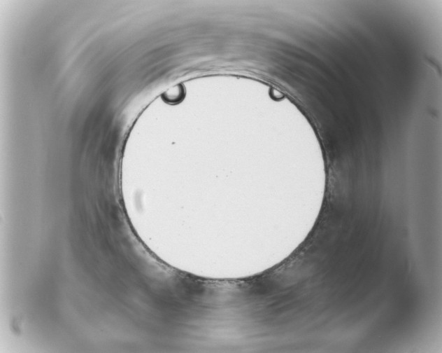 X0000103941528200810031310