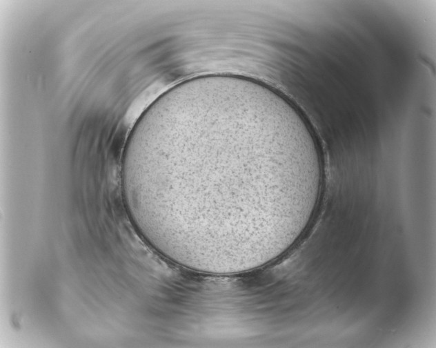 X0000103941529200810031310