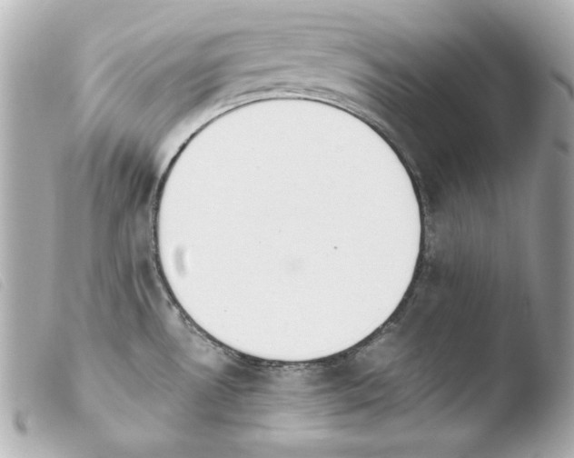 X0000103941530200810031311