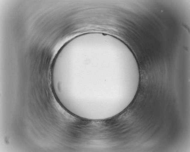 X0000103941531200810031311