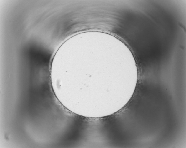 X0000103941532200810031311