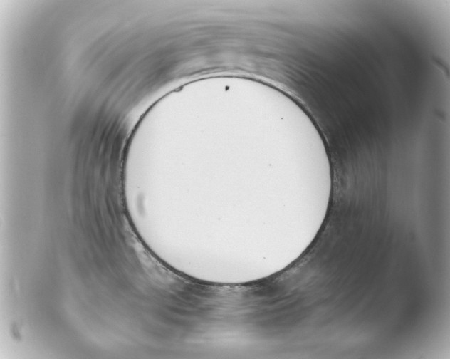 X0000103941534200810031311