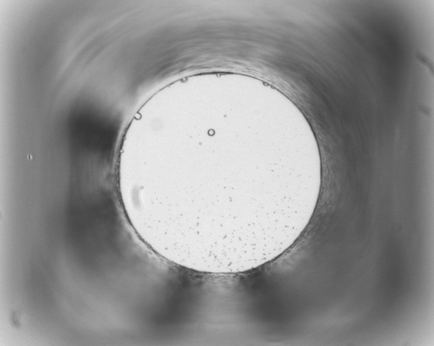 X0000103941536200810031311