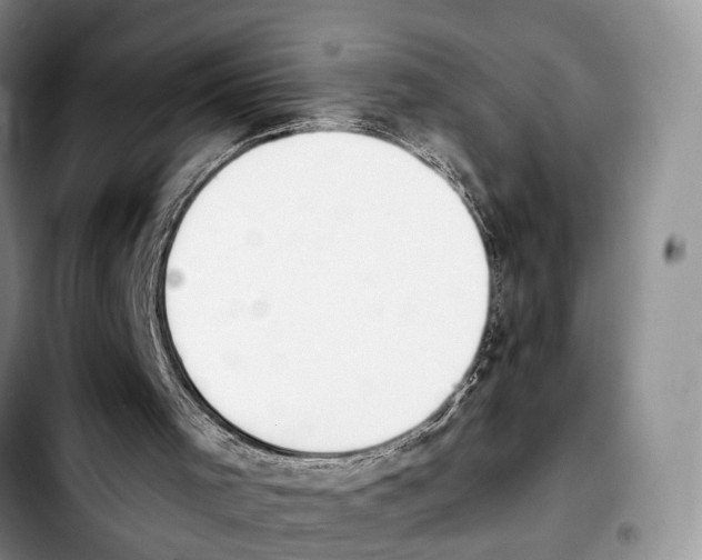 X0000103940001200810101426