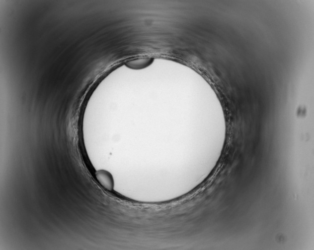 X0000103940002200810101426