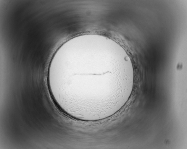 X0000103940003200810101426