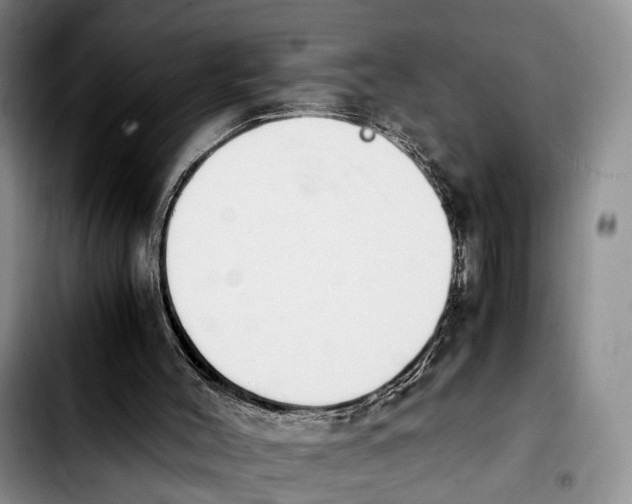 X0000103940004200810101426