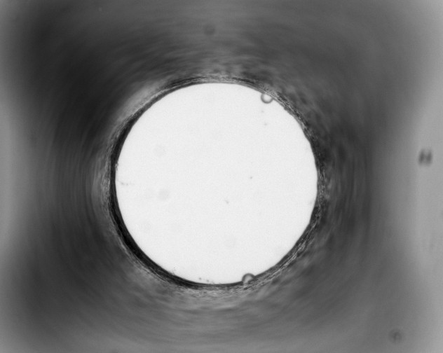 X0000103940005200810101426