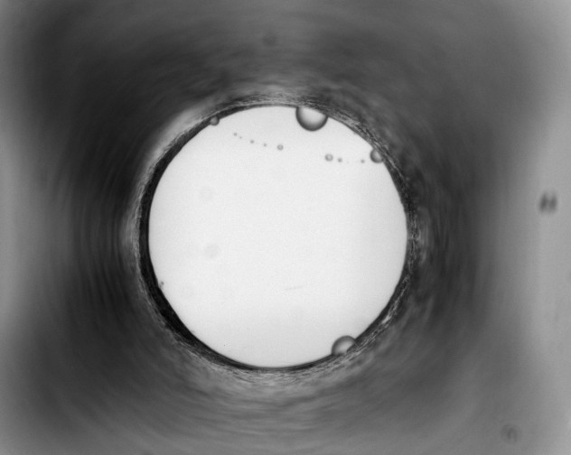 X0000103940006200810101426