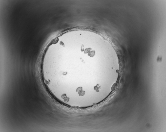 X0000103940007200810101426