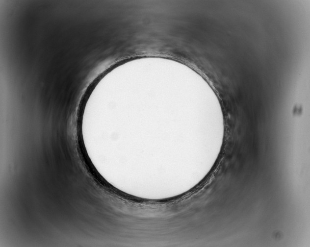 X0000103940008200810101426