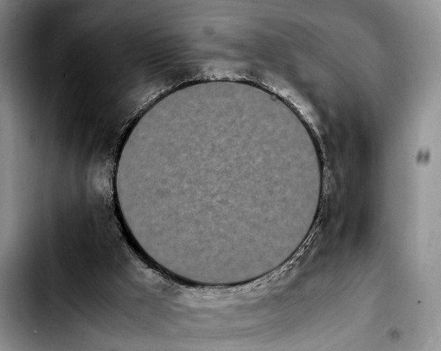 X0000103940009200810101426