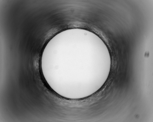 X0000103940010200810101426