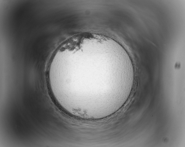 X0000103940011200810101426