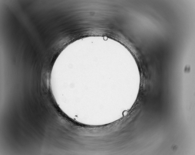 X0000103940013200810101426