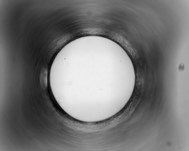 X0000103940014200810101426