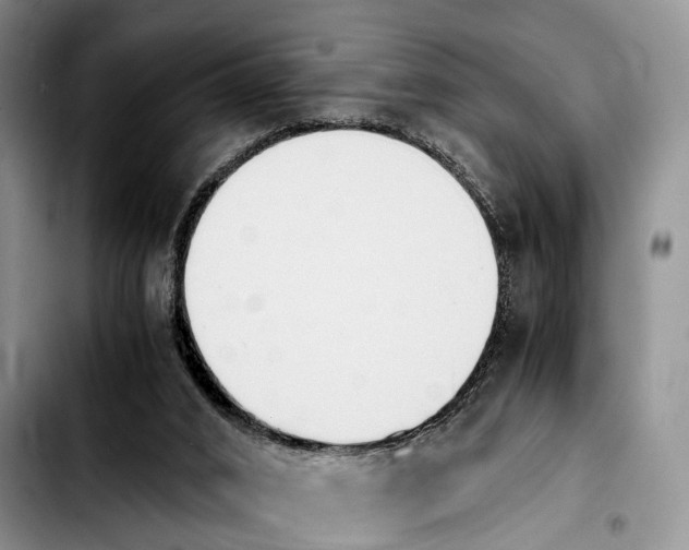 X0000103940016200810101426