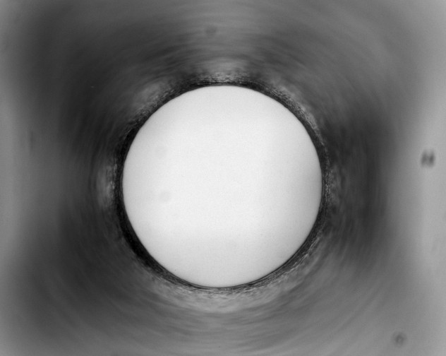 X0000103940018200810101426