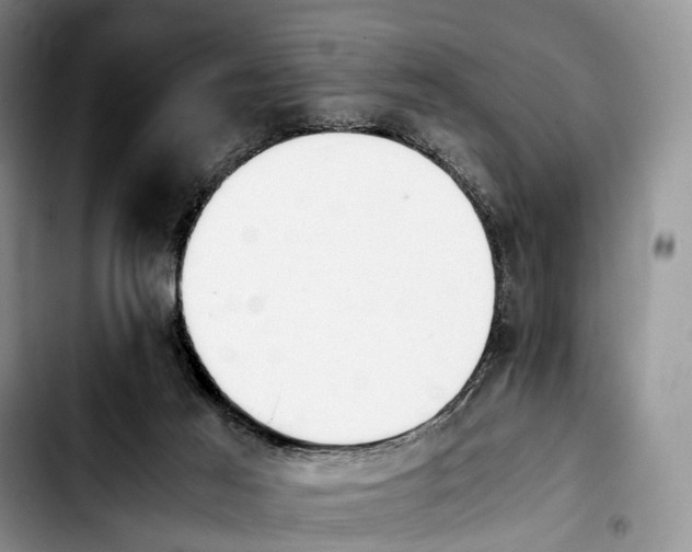 X0000103940021200810101426