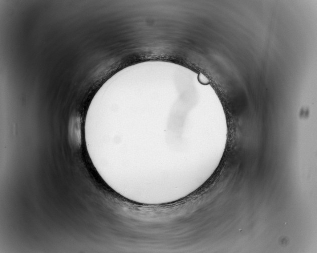 X0000103940022200810101426