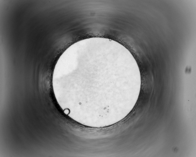 X0000103940023200810101426