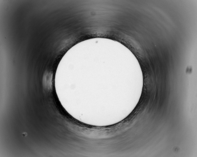 X0000103940024200810101426