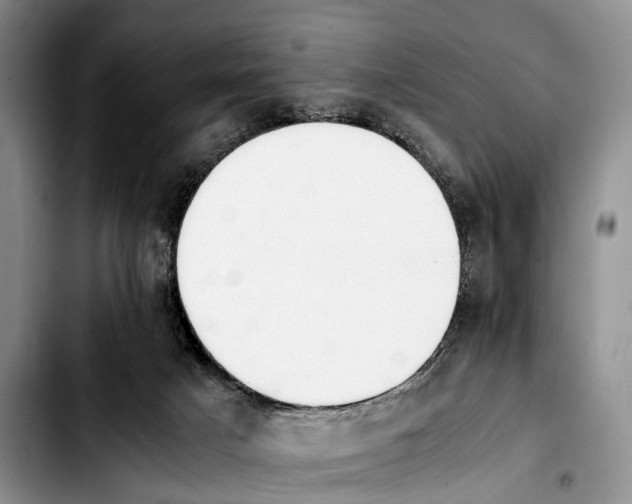 X0000103940025200810101426