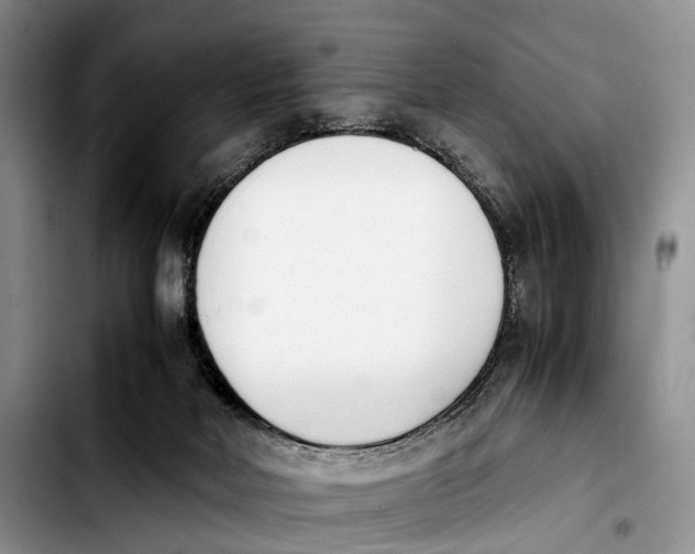 X0000103940026200810101426