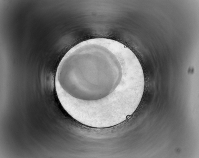 X0000103940027200810101426