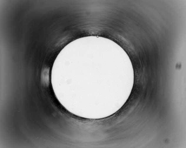 X0000103940028200810101426