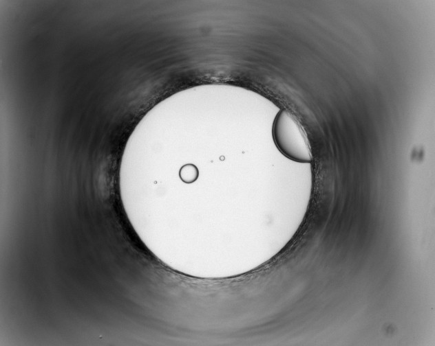 X0000103940030200810101426