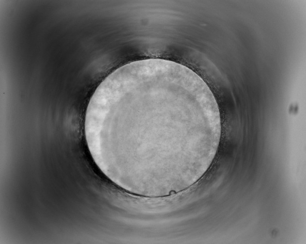 X0000103940031200810101426