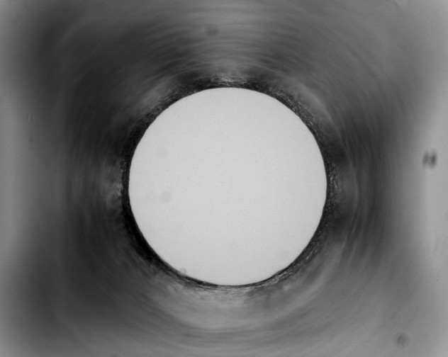 X0000103940032200810101426