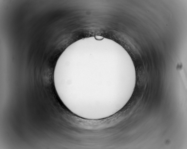 X0000103940034200810101426