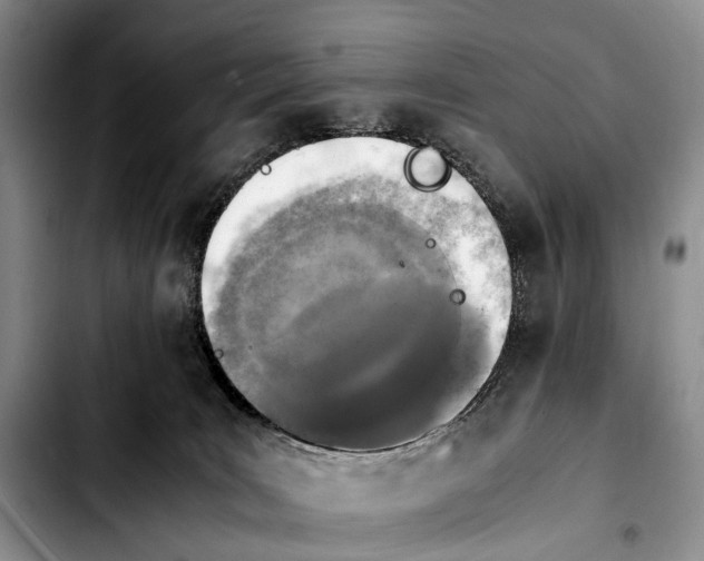 X0000103940035200810101426