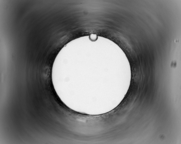 X0000103940036200810101426