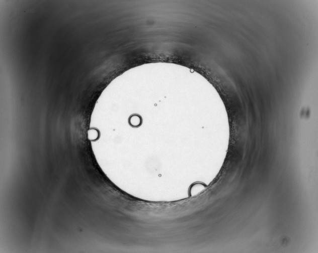 X0000103940037200810101426