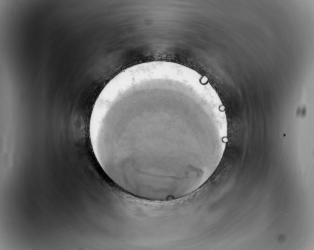 X0000103940039200810101426