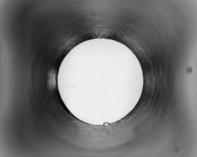 X0000103940042200810101426