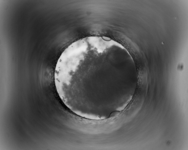 X0000103940043200810101426