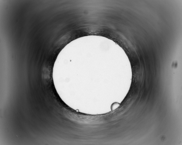 X0000103940044200810101426