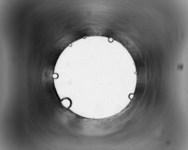 X0000103940045200810101425