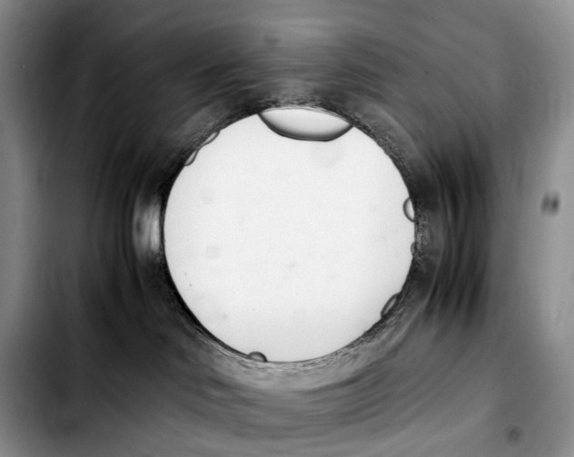 X0000103940046200810101425