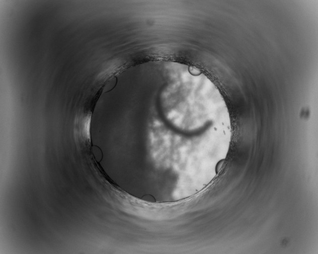 X0000103940047200810101425